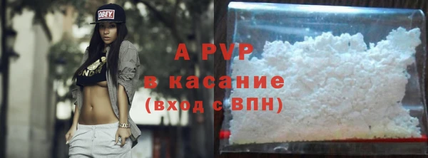 spice Покачи